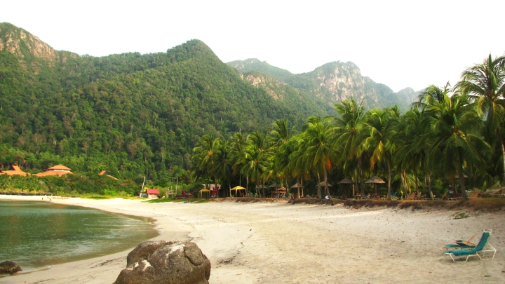 Не выдержало сердце после укуса медузы: в Малайзии не спасли 2-летнего мальчика из России