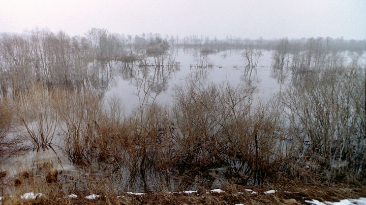 Полицейские на руках вынесли инвалида и его мать-пенсионерку из затопленного дома в Орске