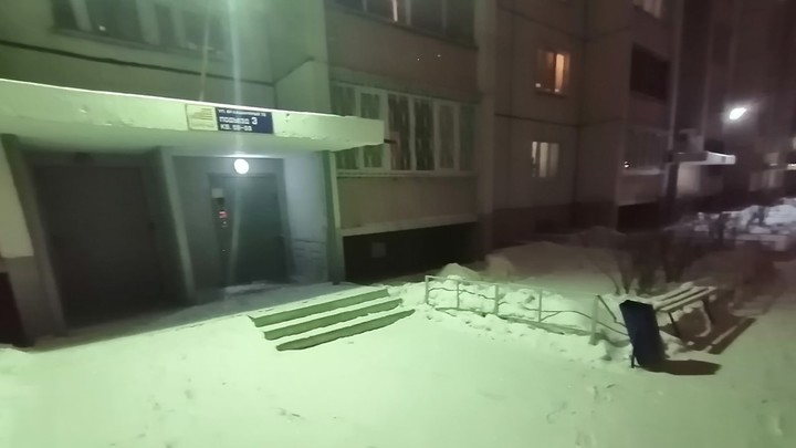 Пес, оставленный на морозе в Челябинске, простил свою хозяйку
