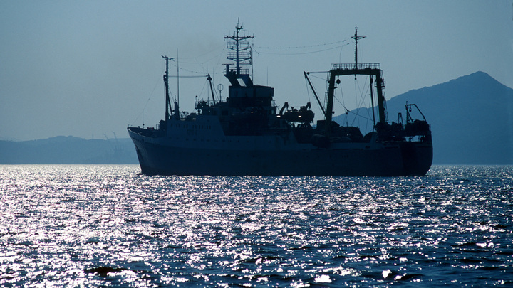Русские биологи нашли в Японском море уникальные красные водоросли