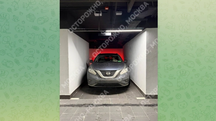 Четыре миллиона за ловушку: москвич оказался заперт в авто на элитной парковке