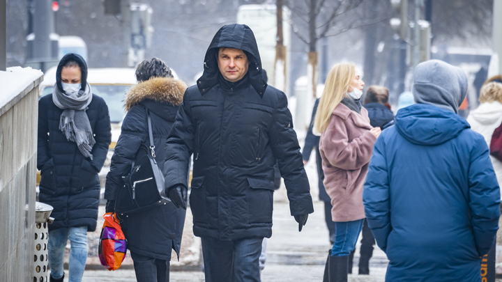 В Петербург пришла скандинавская зима: февраль начался с легкого морозца и снега