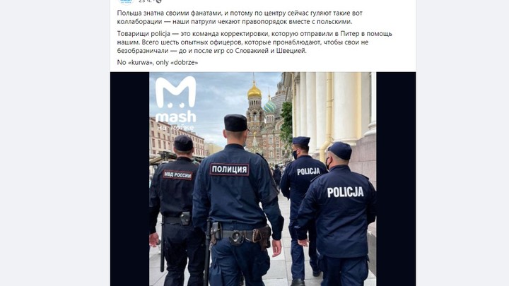 В Санкт-Петербург прибывает иностранная полиция