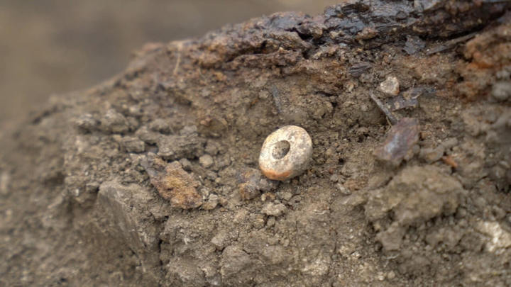 Под Краснодаром нашли древнее захоронение знатного человека