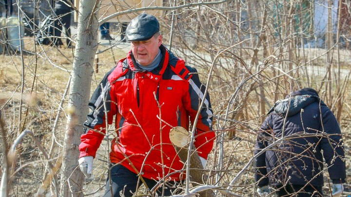 Мэр Новосибирска убрал брёвна и пни на общегородском субботнике 15 октября