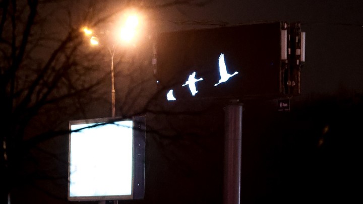 Сет Крокус Сити: Небратья вовсю глумятся над терактом в Красногорске