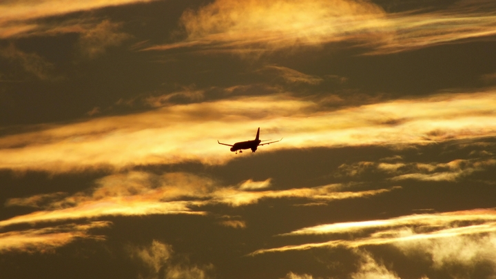 Почти 30 человек погибли в авиакатастрофе в Южной Корее в Муане