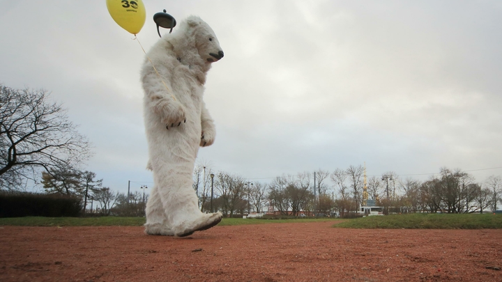 Теперь я хочу жить с русскими: Иностранцы восхитились трогательным видео из России