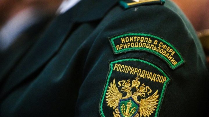 Горит больше месяца: Росприроднадзор добился проверки мусорного полигона под Гатчиной