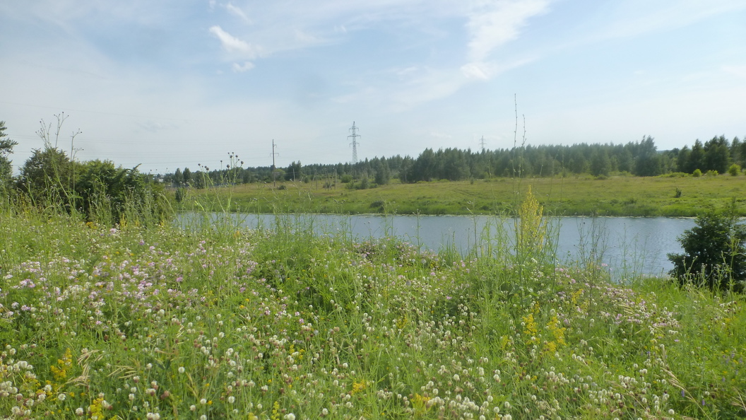 Река троца нижегородская область фото