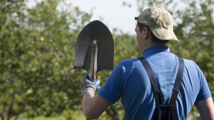 Какие сорняки нельзя трогать: Названы самые частые ошибки дачников