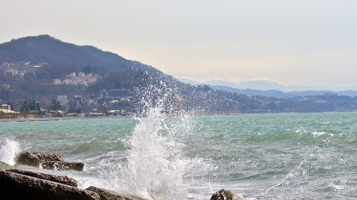 В Чёрном море нашли неизвестный науке микроорганизм. С его помощью будут делать косметику