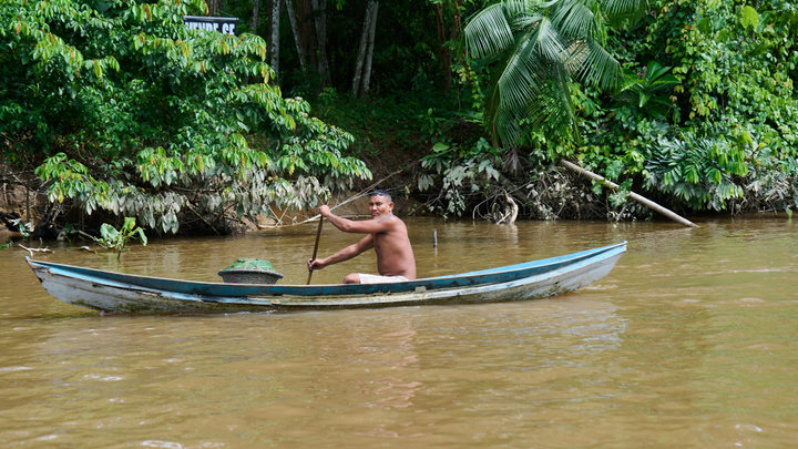 Очистить воды Амазонки поможет Россия: Разработка уже передана Бразилии