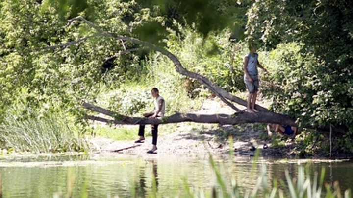 В Краснодаре летом 2024 года обустроят пляж