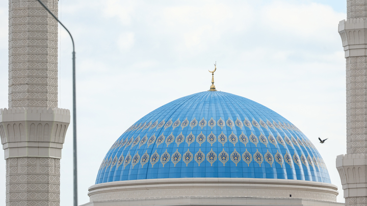 Последует ли окрик?: В Мосгордуме призвали власти отреагировать на религиозное многожёнство