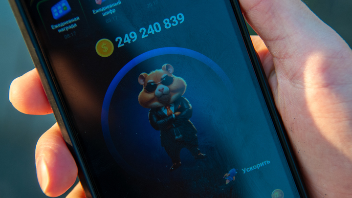 Сколько заработали те, кто тапал хомяка: в выигрыше только разработчики