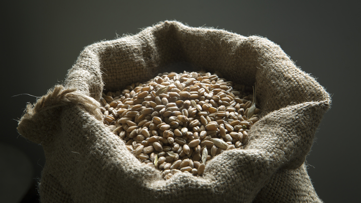 В Кремле засомневались в существовании зерновой сделки в прежнем виде