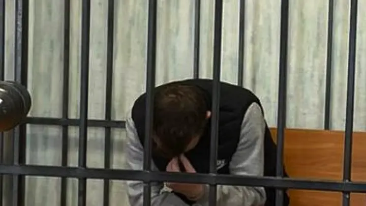 Напавшего на ребенка в Вишневой горке отправили в СИЗО