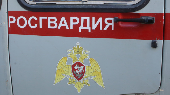 В кафе на улице Романтиков мужчины с кулаками набросились на девушку