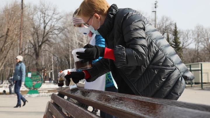 Глава Самары Елена Лапушкина лично покрасила лавочки в парке Гагарина