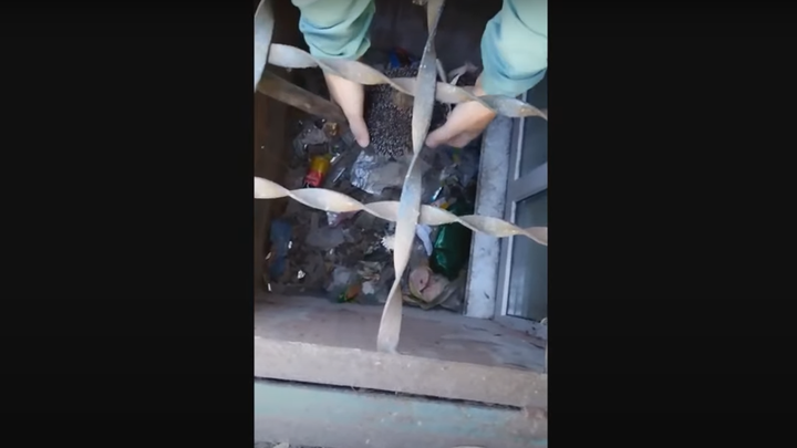 В Кинешме в окно швейного цеха постучала ежиха с крышкой от пластиковой бутылки в зубах