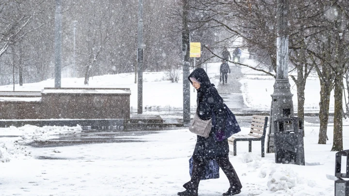 Холоднее предыдущей: Вильфанд рассказал о погоде предстоящей зимой 2025-2026