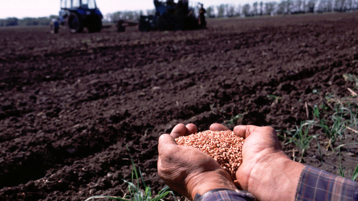 Минсельхоз РК двукратно увеличит финансирование посевной