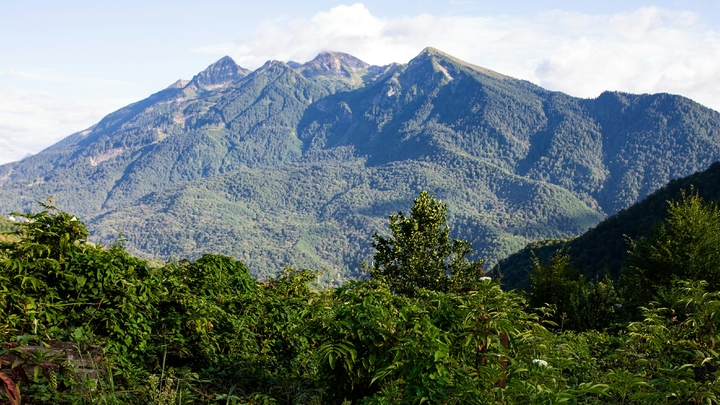 В Кавказском заповеднике сняли все ограничения на открытых маршрутах