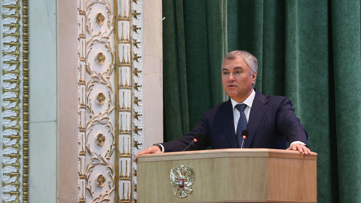 Володин назвал главный закон за январь 2022 года