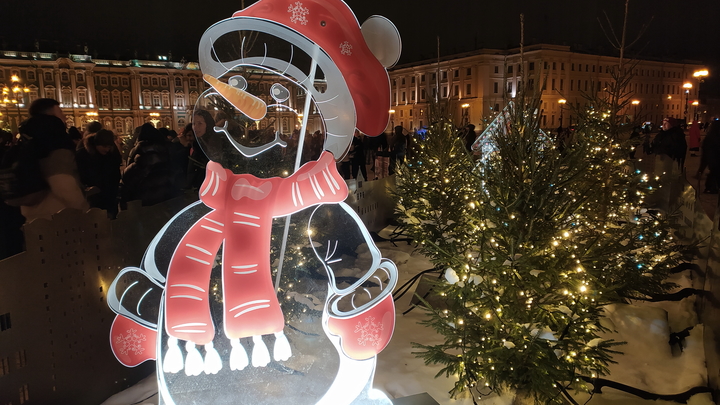 Петербуржцев просят остаться дома из-за морозов