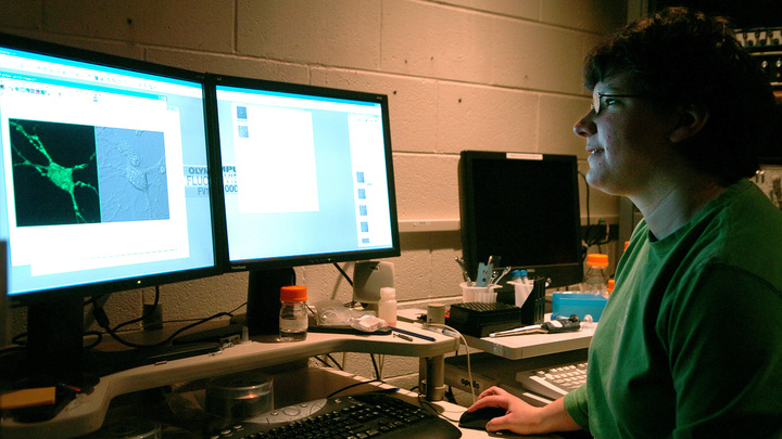 Убивает даже без воспаления: Учёные выявили сердечное отличие короны от других вирусов