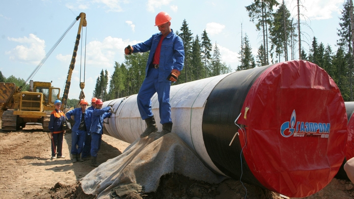 Лидер оппозиции Германии Мерц заявил, что в Евросоюзе может начаться грызня за газ