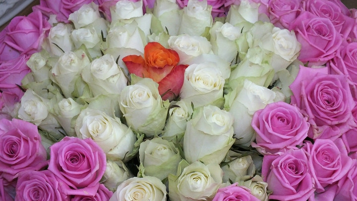 Солистка Little Big рассказала, зачем скрывала отношения с Ильичом