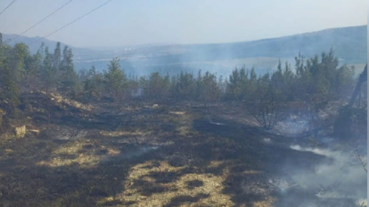 Пожар в районе Марьиной Рощи Геленджика уничтожил 1,2 га леса