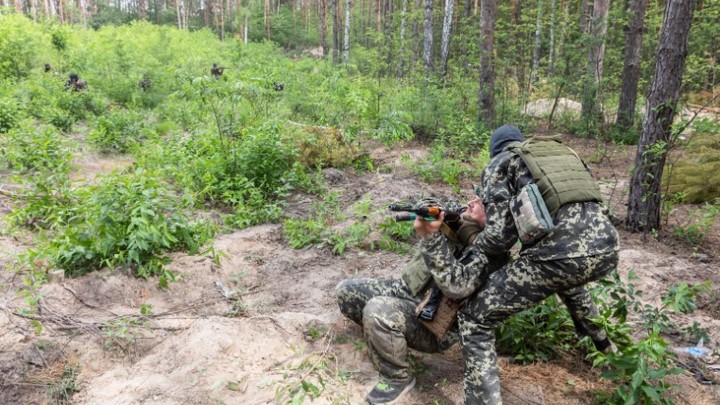 ЛНР: Под Лисичанском поймали 12 иностранных наёмников