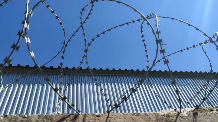 Пыточная вместо аттракциона: петербургских школьников час истязали по сценарию маньяка