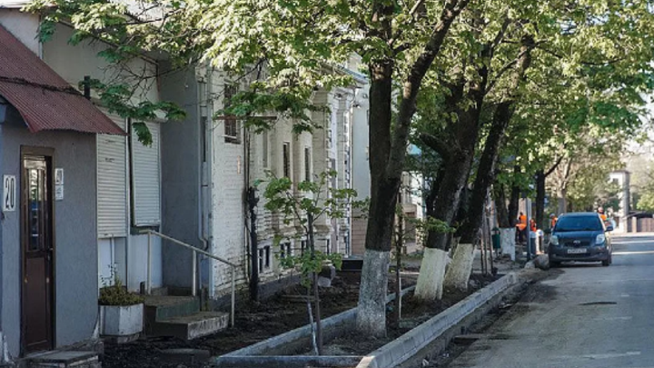 Во дворах Краснодара вырубят 1,2 тыс. аварийных деревьев