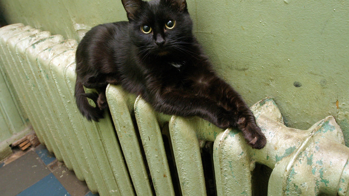 Когда включат отопление в Сочи в 2021 году: названа точная дата