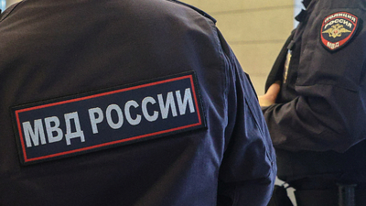 Подставила китайская гирлянда: Полиция наказала жителя Новгорода за украинский лозунг