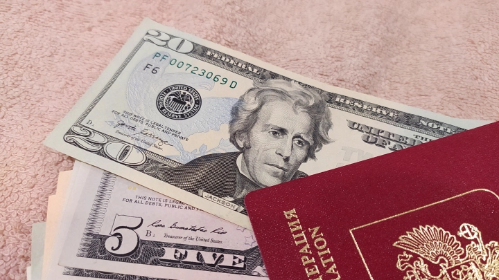 Оказывается, так можно: Малофеев высказался о введении в США системы выдачи виз под залог