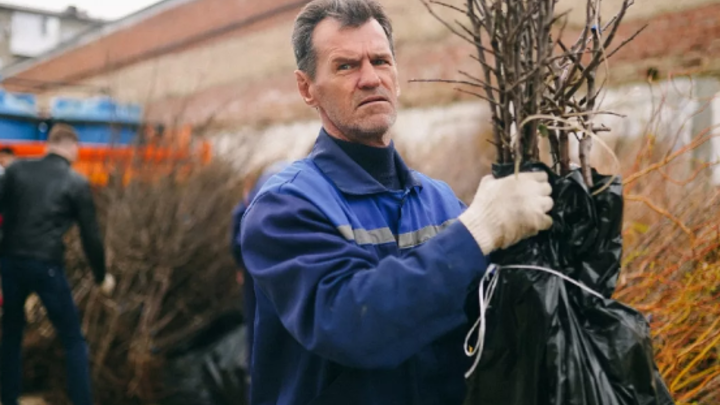 В Краснодаре осенью высадят около 17,8 тыс. деревьев и кустарников