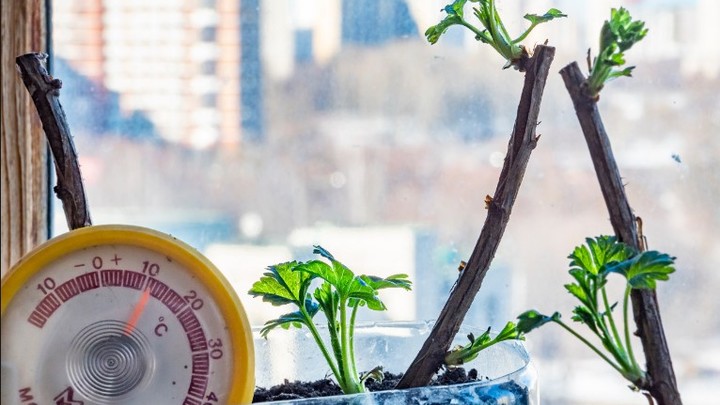 Японский депутат об отношениях с Россией: Упали до нуля