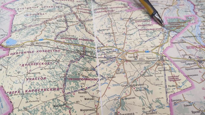 Медведь подрал лошадь на берегу реки под Новосибирском