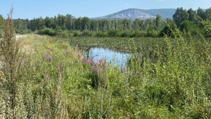 В Челябинской области озеро выливается из берегов по вине чиновников