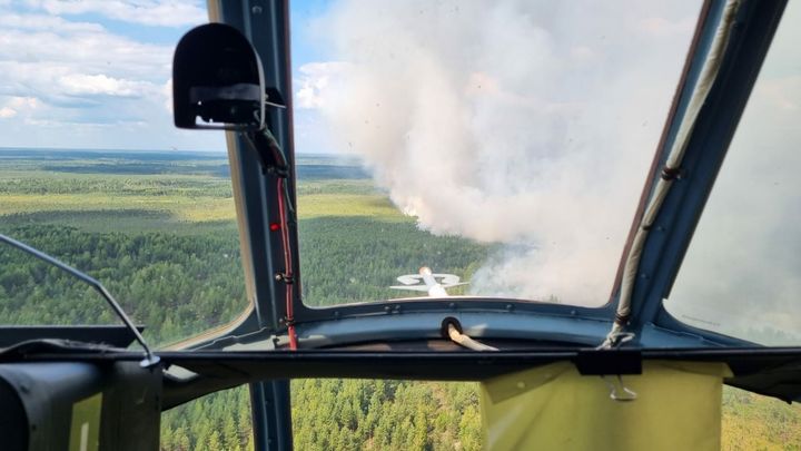 В Воротынском районе пожарные остановили распространение лесного пожара