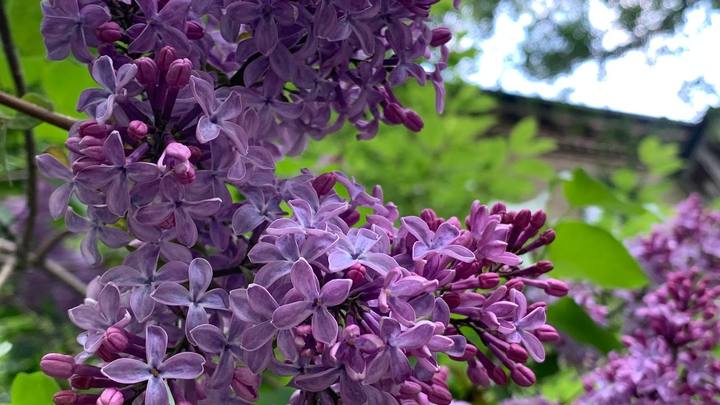 В Самарскую область придут солнце и жара