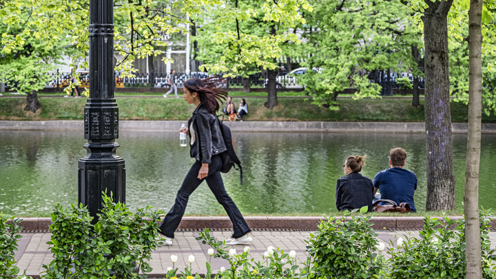 От пластика до скамеек: мусорные находки в Москве изумили очистителей