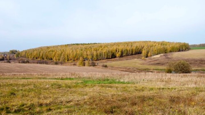 В России раскрыли тайну чукотского треугольника. Стало известно, куда пропали 80 самолётов США