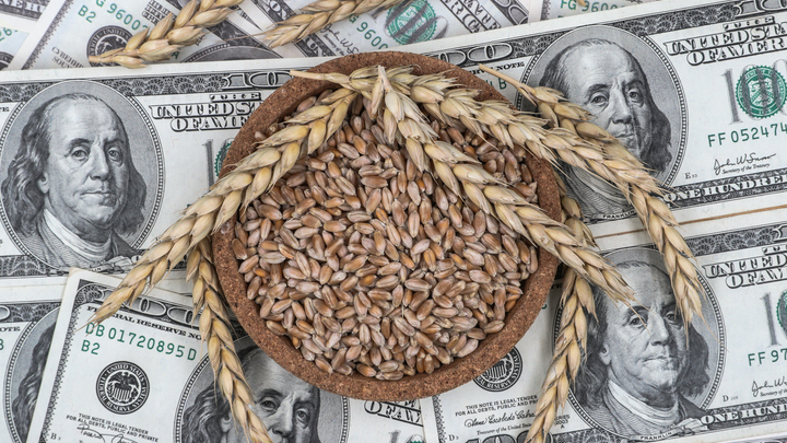 Польша и Венгрия отказали Украине в тяжелейшей ситуации - Express