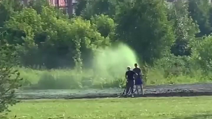 Кузбассовцы обсуждают покраску газона в Кемерове